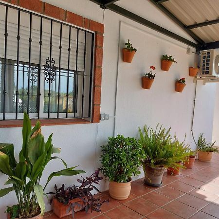 Andalusian Farmhouse With Barbecue, Pool And Wifi Malaga Exterior photo
